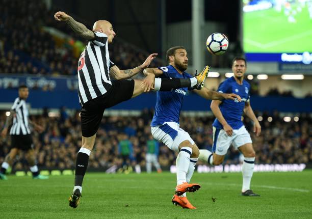 执行着预定 执行着预定